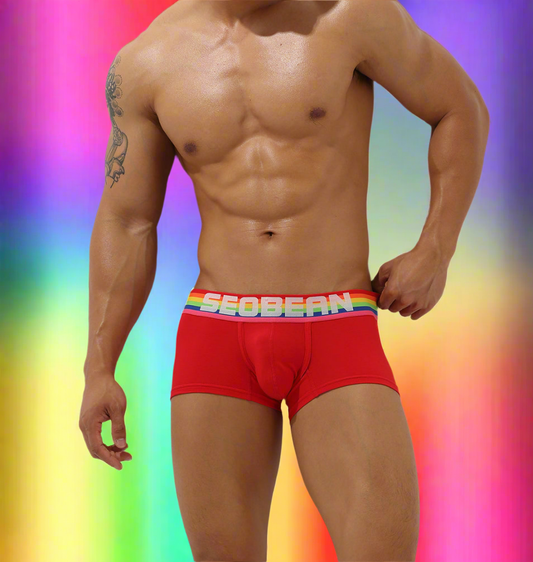 Boxer Vermelho Homem SEOBEAN Rainbow